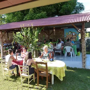 https://pension-te-miti.frenchpolynesia-hotels.com